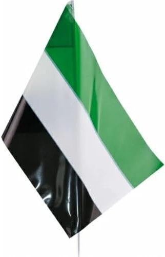 Pack 25 Banderas Extremadura con palo pvc 20x30 cm