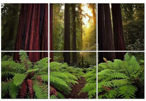 6 Pack Acoustic Foam Panels Sound Proofing Panels redwood trail trees forest sequoiass pictures Acoustic Wall Panel Soundproofing for Livingroom Nursery Room 72x48 Home Decor
