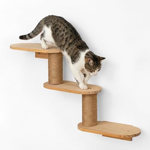 Ecofocet Kletterwand Katzen, Wandregale aus Natürliches Holz und Jute für Katzen, Katzentreppe Wandmontage, Katzentreppe und Kratzbaum, Stabiles Katzenwandmöbel für Klettern/Spielen/Kratzen