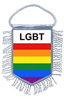Akachafactory Fanion Mini Drapeau Pays Voiture Decoration Arc en Ciel Rainbow Gay Pride