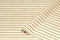 d-c-fix Möbel-Klebefolie Wooden Slats Holz-Optik 90 cm x 2,1 m - Möbelfolie selbstklebende Deko-Folie für Tisch, Schrank-Folie Holzfolie Türfolie Türtapete Tür skandinavisch Boho Style Modern