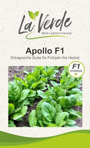 Spinat Apollo F1 Gemüsesamen