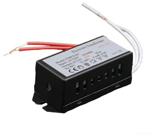 Transformateur électronique AC 220 V vers AC 12 V, convient pour halogène et lampe 12 V (250 W)