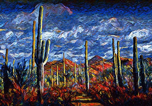 Castle & Rye Saguaro National Park Southwest Wüstenlandschaft Kunst Foto Qualität Poster Druck für Wohnzimmer oder Schlafzimmer Wand