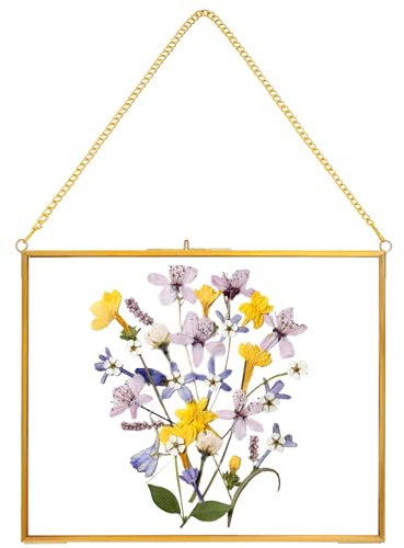 REDHUGO Hängender gepresster Blumenrahmen, handgefertigt, Glasrahmen für gepresste Blumen, Doppelglas-Bilderrahmen, schwebender Rahmen für Poster, Zuhause, Wandkunst, rechteckig, horizontal