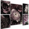 decomonkey Bilder Set Blumen 110x80 cm 5 Teilig Leinwandbilder Bild auf Leinwand Vlies Wandbild Kunstdruck Wanddeko Wand Wohnzimmer Wanddekoration Deko Natur Rose Pfingstrose