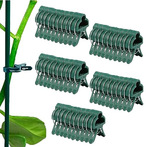 YOUNLEN 50 Piezas Clip para Plantas, Clip de Jardín, Clips de Plantas Reutilizables, enderezador para Plantas trepadoras, Plantas de Interior Verde, Clips para Plantas y Flores (20Grandes)