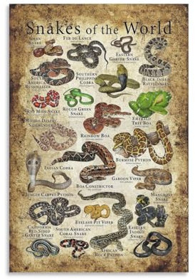 Generic Leinwand-Kunstposter und Wandkunst, Motiv: Schlangen der Welt, modernes Familiendekor, 30 x 45 cm, Wohnzimmer, Schlafzimmer, Badezimmer, Esszimmer