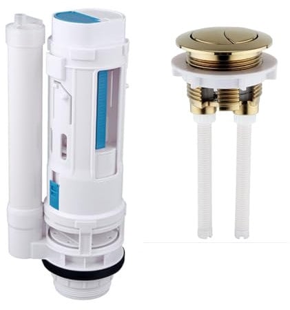 Housler ® Push Button and Adjustable Dual Flush, with 2 inch Cistern Outlet. Brushed Brass Button