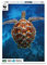 Ambassador 7230026 Meeresschildkröte, 1000 Teile Puzzle für Erwaschene und Kinder ab 10 Jahren, WWF Tierpuzzle, Schildkröte