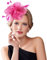 Dodheah Fascinators Hut Hochzeitshut Kopfbedeckung Vintage Schleier Hut Derbyhut für Frauen Pillbox Hüte Stirnband Damen Haarspangen für Hochzeit Ascot Karneval Tee Party 052-Rosenrot