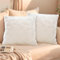 FeinKulturia 2er Set Kissenbezug 45x45cm Samt Zierkissenbezüge Weich Flauschig Sofakissen Luxus Plüsch Kissenbezüge für Sofa Schlafzimmer Wohnzimmer Kuschelkissen Dekokissen