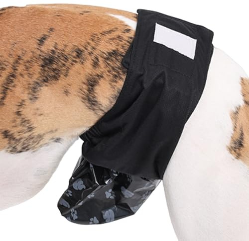 Culottes pour Chien Culottes Lavables pour Chiot Mâle