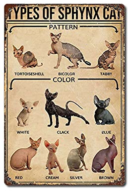 TRITXIY Arten von Sphynx Katzen Poster Sphynx Katzen Liebhaber Poster Home Living Decor Poster Retro Home Decor Blechschild Bars Dekor 20 x 30 cm