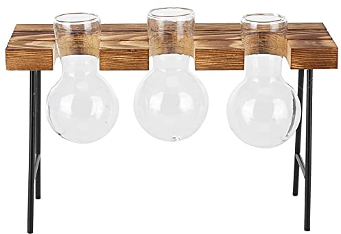 HOKZYHOUSE Terrarien, Tisch-Pflanzgefäß aus Glas, Holzständer-Glühbirnen-Glasvase, Hydrokultur-Pflanzgefäß für Zuhause, Büro, Garten(Drei Flaschen + Bank)