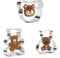 3 Pieces Teddy Bear Cookie Cutter Set - Premium Stainless Steel for Baking, Fondant Cake Decoration, and Biscuit Making. Ideal for Creating Adorable Teddy Bear Shaped Treats.