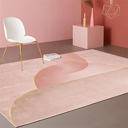 RUGMRZ Tapis Moelleux Tapis de Porte d'entrée Moderne et Simple Tapis de Couloir Lavable antidérapant-Rose_40X60CM Tapis d Entree Interieur Portable Tapis moumoute40X60CM/1ft 4''X1ft 12''