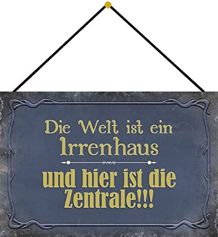 DekoDrom® Motiv Blechschild 20x30 cm mit Kordel Welt ist ein Irrenhaus + hier ist die Zentrale lustiger Büro Spruch Dekoration Bar Kneipe Sammler