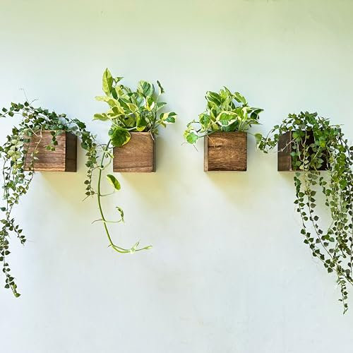 LaLaGreen - Macetero de madera de 4 x 4 pulgadas, paquete de 4 macetas pequeñas cuadradas de madera para plantas de interior, macetas colgantes para ventana, decoración de centro de mesa de hierbas