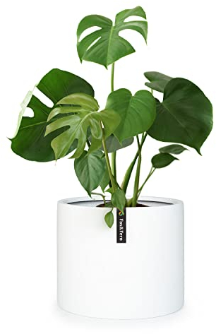 Fox & Fern Pot de Fleur Interieur et Extérieur, Jardinieres Exterieur, Pot Plante Résistant UV et Gel avec Bouchon de Drainage, Fiberstone, Jardiniere, Pot de Fleur Exterieur Grande Taille, Pot Unique