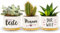 Darlena Beste Mama der Welt | Cadeau pour maman, cadeau d'anniversaire, cadeaux de jardin d'herbes pour maman pour un anniversaire, la fête des mères ou Noël | Pots de fleurs à planter