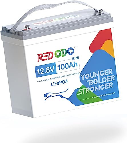 Redodo 12V 100Ah Mini LiFePO4 Batteria al litio Smaler & Lighter, Built-in 100A BMS, perfetto per il campeggio, l'accumulo di energia domestica solare, RV, Off-Grid