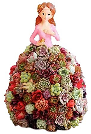 Moxeupon Jardinière pour Succulente | Jardinière de Fleurs pour Fille Mignonne Pot de Fleurs - Idéal pour Les s, s succulentes, Echeveria, Jade Plant, Design Lovely Little Princess Home
