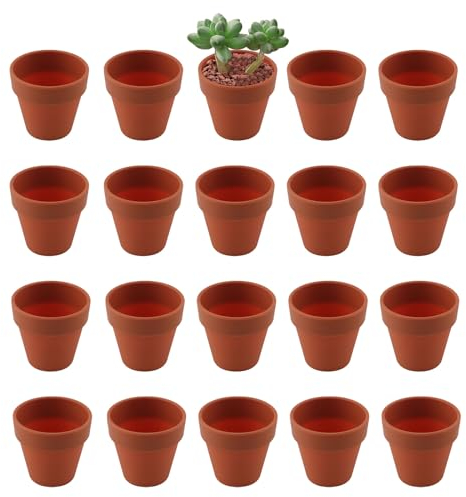 JDCMEI 20 Stücke Pflanztöpfe, Kunststoff Pflanztöpfe 5cm Plastik Klein Anzuchttöpfe Mini Blumentopf Kunststoff mit Abflussloch für Pflanzen im Innen und Außenkaktus Sukkulenten Hauspflanzen (5*5.4cm)