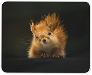 Cute Red Squirrel Mouse Mat Pad - Forest Animal Rodent Kids Gift Computer #13158