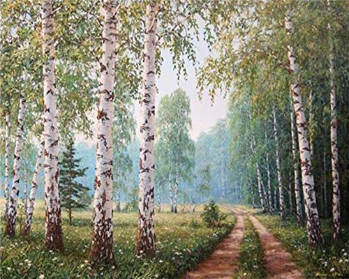YEESAM ART DIY Ölgemälde Malen nach Zahlen Erwachsene Kinder, Waldpfad Weiße Birke Bäume Zahlenmalerei ab 5 Öl Wandkunst (Wald, mit Rahmen)