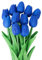 Veryhome Künstliche Blumen Gefälschte Blume Tulpe Latex Material Real Touch für Hochzeitszimmer Home Hotel Party Dekoration und DIY Decor (Königsblau - 10Stück, 10Stück)