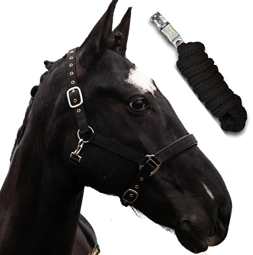 Halfter für Pferde mit Strick | Führstrick Pferd Halfter | Halfter Pony, Vollblut, Full, X-Full mit Strick (Schwarz, Kaltblut)