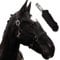 Halfter für Pferde mit Strick | Führstrick Pferd Halfter | Halfter Pony, Vollblut, Full, X-Full mit Strick (Schwarz, Kaltblut)