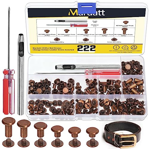 Mardatt Kit di 222 viti Chicago assortite in 6 misure, con strumenti di regolazione, M5 x 4/5/6/8/10/12 mm, rivetti per pelle, rivetti M5 Chicago, per riparazioni fai da te in pelle (rame antico rosso