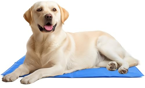 Navaris Kühlmatte für Hunde - Kühlmatte Hund - Selbstkühlende Hautiermatte mit Gel - Kühlmatte für Haustiere - Kein Gefrieren notwendig - 81 x 96 cm - Blau - Textil