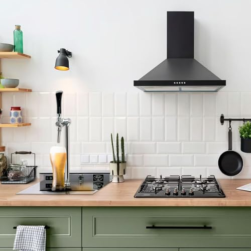 Zapfanlage, Bierzapfanlage, Bierkühler - 35 Liter/h 1-LTG Lindr Pygmy PRO Kitchen für Küche Bar