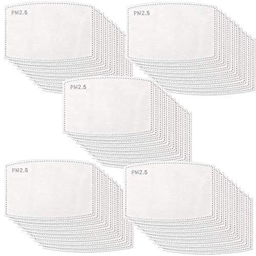 100er-Packung PM-2,5-Aktivkohle-Filtereinsatz