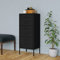 Aktenschrank Industriell Schubladenschrank Büroschrank Werkzeugschrank Metallschrank Stahlschrank Lagerschrank Materialschrank Schrank mit 3 Schubladen, 42,5x35x101,5 cm Schwarz