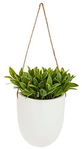 ATMOSPHERA CREATEUR D'INTERIEUR Planta de Pared Colgante H20