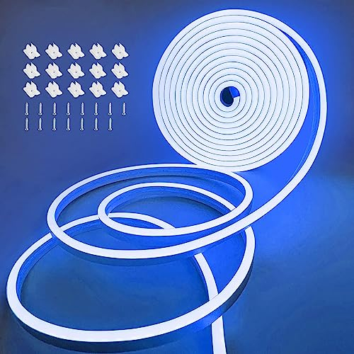Eruibos Van LED Streifen 5 m, 12 V Neon LED Streifen, IP65 wasserdichtes Neon Seil Licht, LED Streifen Silikon DIY Flexibel Lichtstreifen mit Stecker Schnalle Schraube für Innen Außendekoration