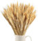 Minnhua 100pcs Getrocknete Blumen Weizen Natürliche Trockenblumen Deko Getrocknete Weizen Blumen für Hochzeit Mittelstücke Zuhause Balkon Party Tisch Vase Weihnachten Deko 40cm