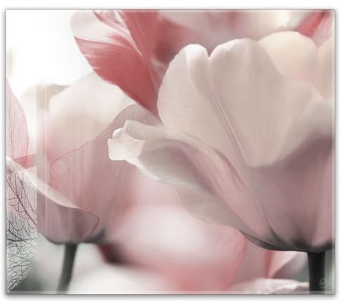 Herdabdeckplatte 60x52 cm einteilig – Blühende Tulpen in Pastell, Frühlingsblumen | ESG Glas Ceranfeldabdeckung, Schneidebrett, Abdeckplatte, Herd, Induktion, Küche