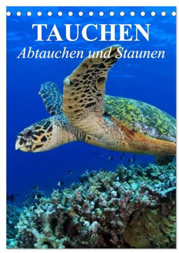 Tauchen - Abtauchen und Staunen (Tischkalender 2026 DIN A5 hoch), CALVENDO Monatskalender: Abtauchen in die faszinierende Unterwasserwelt unserer Meere (CALVENDO Natur)