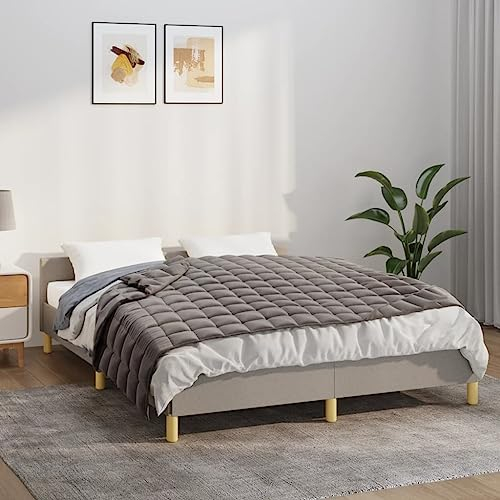 BaraSh Gewichtsdecke Grau 120x180 cm 9 kg Stoff Therapiedecke Erwachsene Weighted Blanket
