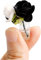 Mini-Puppenhaus-Miniatur-Vase, Mikro-Landschaft, bunte Blume, Glasflaschen-Dekoration für Puppenhaus-Szene im Maßstab 1:12 oder 1:8, Zubehör (schwarz)