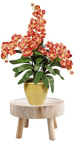 Taburete de Madera para Plantas - Mini Soporte Elevador, Mesa Redonda Pequeña, Estante para Suculentas, Flores y Bonsái