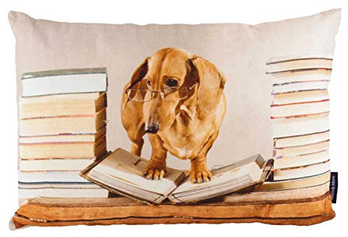 440s Canvas Kissen Bücher-Dackel ca. 50 x 35 cm | MM-GKHKHTK | 8716522067309