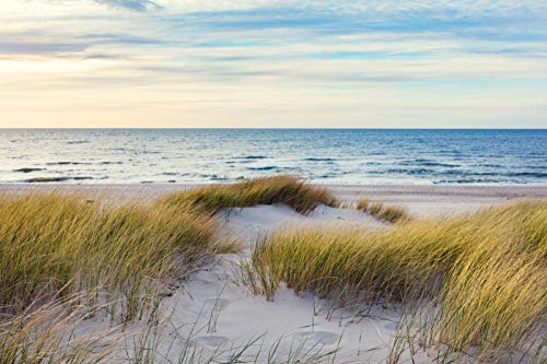 DÜNEN Fototapete VLIES-250x186 cm (1098A)-Nordsee Dünen Strand Meer Sonnenuntergang Landschaft Wandtapete-Inkl. Kleister-Vliestapete Bild Dekoration Wand-Dekor Moderne Motiv-Tapete Panorama Poster XXL