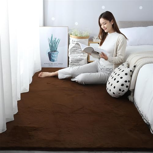 ZWPILY Hochflor Teppich, Einfarbig, Flauschiger Langflor Teppich, Shaggy Flokati, Rechteckig, Pflegeleicht, Wohnzimmerteppich - Fellteppich - Modern Kunstfell Carpet für Schlafzimmer,Braun,60x90 cm