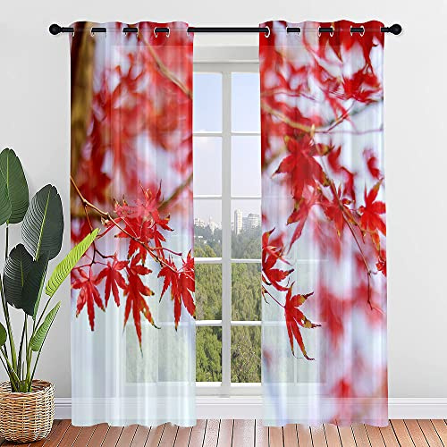 Surwin 2 Stück Gardinen mit Ösen, Ahornblatt Druck Vorhänge, Modern Transparent Vorhänge Wohnzimmer Polyester Gardinen Küche Fenster Wohnzimmer Schlafzimmer (132x182cm,Rot)